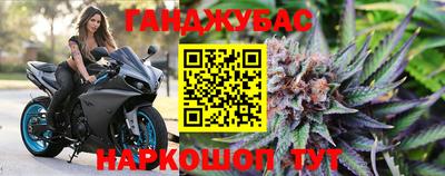эйфоретик Донской