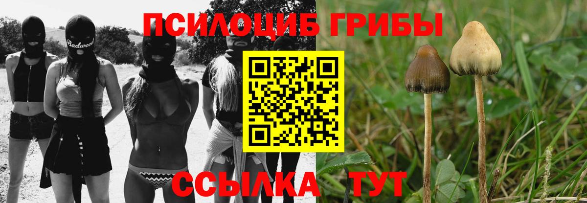 Лянтор  Галлюциногенные грибы Psilocybe  Вход с VPN  Псилоцибиновые грибы прущие грибы 